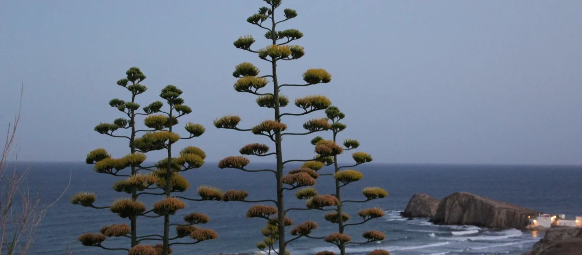 cabo_de_gata